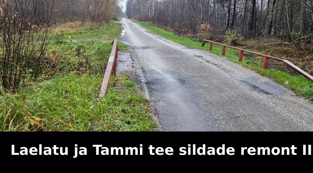 Laelatu_Tammi_sildade_remont_II_9x5.jpg
